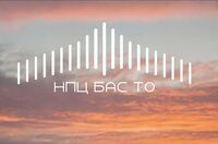 НПЦ «Беспилотные авиационных системы»