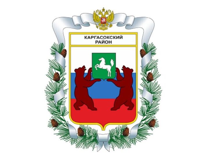 Каргасокский район